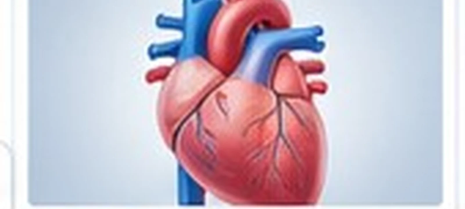 Ventricular Septal Defect medical care in India