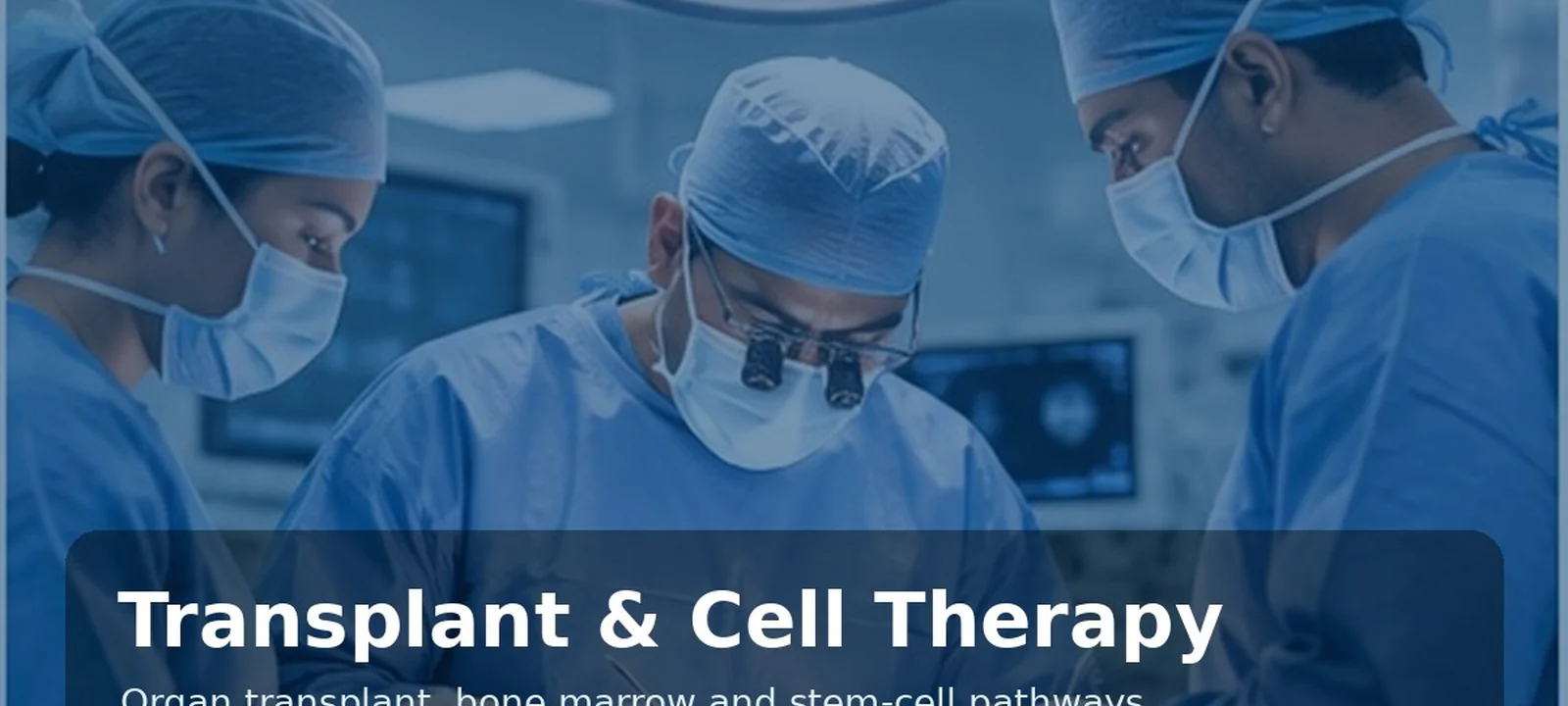 Bone Marrow Stem Cell Transplant medical care in India